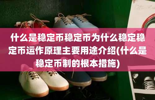 什么是稳定币稳定币为什么稳定稳定币运作原理主要用途介绍(什么是稳定币制的根本措施)