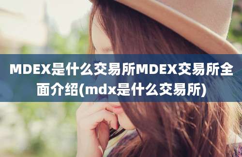 MDEX是什么交易所MDEX交易所全面介绍(mdx是什么交易所)