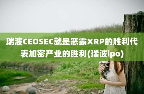 瑞波CEOSEC就是恶霸XRP的胜利代表加密产业的胜利(瑞波ipo)