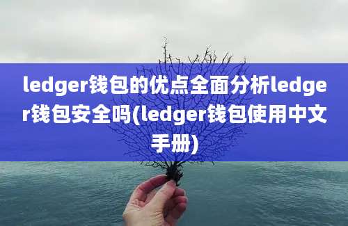 ledger钱包的优点全面分析ledger钱包安全吗(ledger钱包使用中文手册)