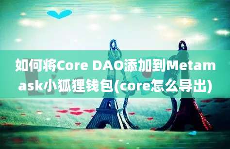 如何将Core DAO添加到Metamask小狐狸钱包(core怎么导出)