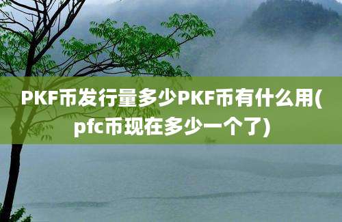 PKF币发行量多少PKF币有什么用(pfc币现在多少一个了)