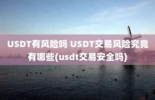 USDT有风险吗 USDT交易风险究竟有哪些(usdt交易安全吗)