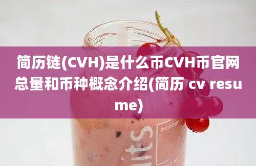 简历链(CVH)是什么币CVH币官网总量和币种概念介绍(简历 cv resume)