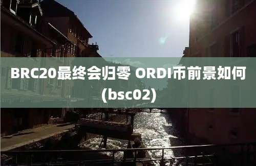 BRC20最终会归零 ORDI币前景如何(bsc02)