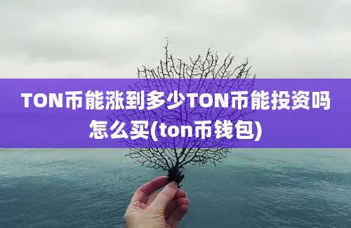 TON币能涨到多少TON币能投资吗怎么买(ton币钱包)