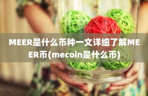 MEER是什么币种一文详细了解MEER币(mecoin是什么币)