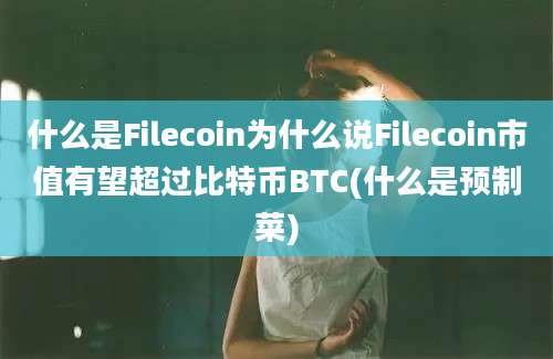 什么是Filecoin为什么说Filecoin市值有望超过比特币BTC(什么是预制菜)