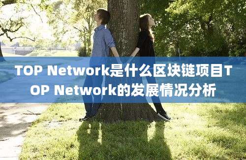 TOP Network是什么区块链项目TOP Network的发展情况分析