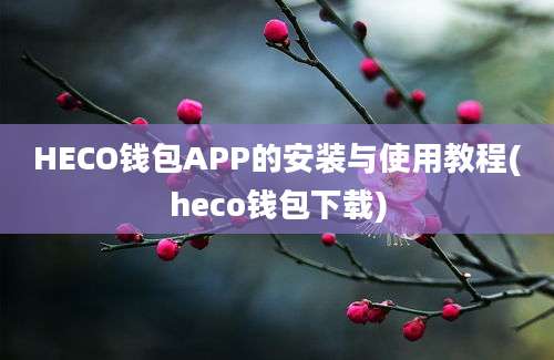 HECO钱包APP的安装与使用教程(heco钱包下载)