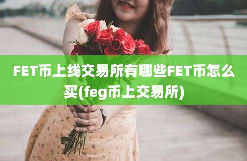 FET币上线交易所有哪些FET币怎么买(feg币上交易所)