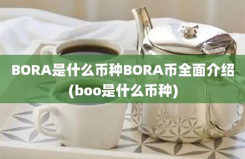 BORA是什么币种BORA币全面介绍(boo是什么币种)