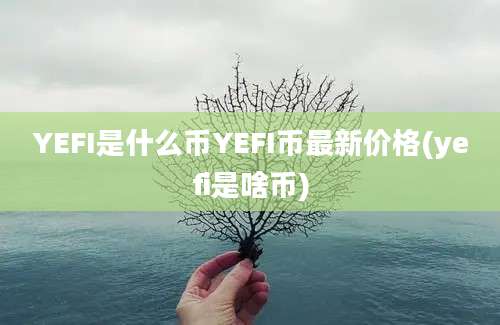 YEFI是什么币YEFI币最新价格(yefi是啥币)