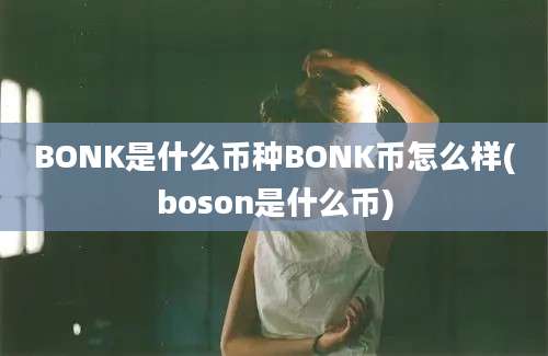 BONK是什么币种BONK币怎么样(boson是什么币)