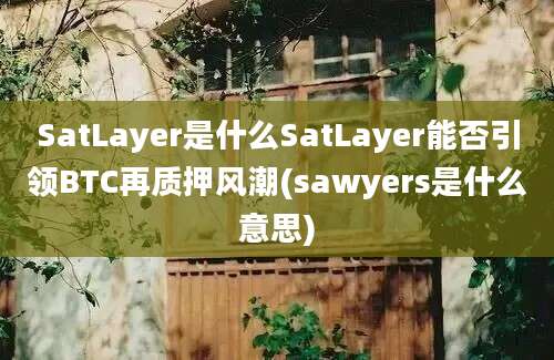 SatLayer是什么SatLayer能否引领BTC再质押风潮(sawyers是什么意思)