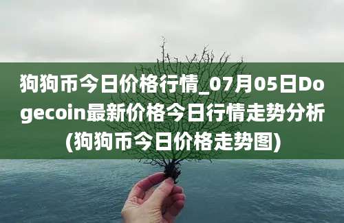 狗狗币今日价格行情_07月05日Dogecoin最新价格今日行情走势分析(狗狗币今日价格走势图)