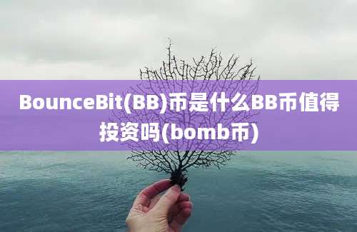 BounceBit(BB)币是什么BB币值得投资吗(bomb币)