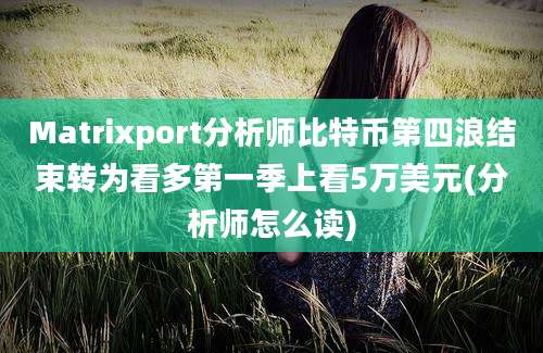 Matrixport分析师比特币第四浪结束转为看多第一季上看5万美元(分析师怎么读)