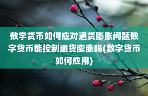 数字货币如何应对通货膨胀问题数字货币能控制通货膨胀吗(数字货币如何应用)