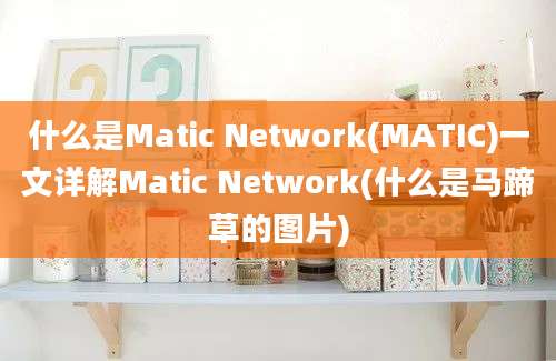 什么是Matic Network(MATIC)一文详解Matic Network(什么是马蹄草的图片)