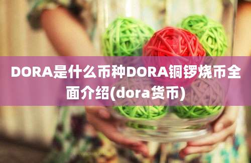 DORA是什么币种DORA铜锣烧币全面介绍(dora货币)