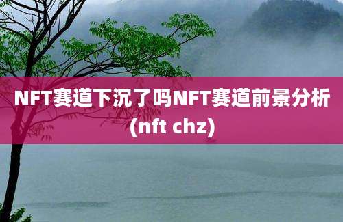 NFT赛道下沉了吗NFT赛道前景分析(nft chz)