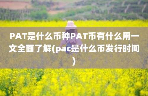 PAT是什么币种PAT币有什么用一文全面了解(pac是什么币发行时间)