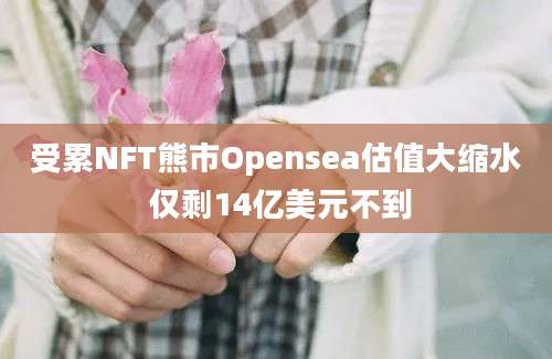 受累NFT熊市Opensea估值大缩水 仅剩14亿美元不到