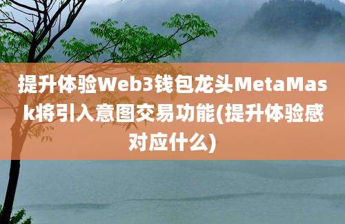 提升体验Web3钱包龙头MetaMask将引入意图交易功能(提升体验感对应什么)