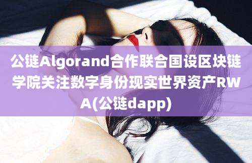 公链Algorand合作联合国设区块链学院关注数字身份现实世界资产RWA(公链dapp)