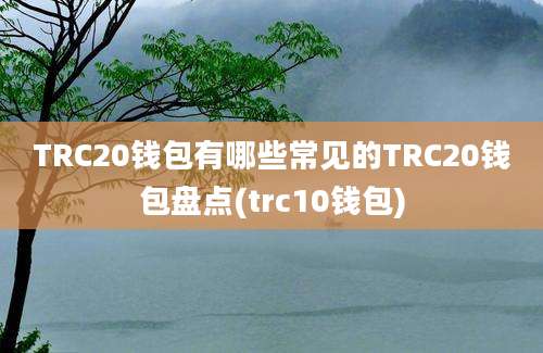 TRC20钱包有哪些常见的TRC20钱包盘点(trc10钱包)