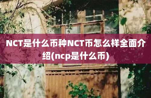 NCT是什么币种NCT币怎么样全面介绍(ncp是什么币)