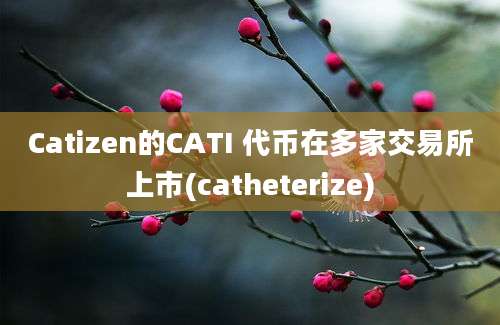 Catizen的CATI 代币在多家交易所上市(catheterize)