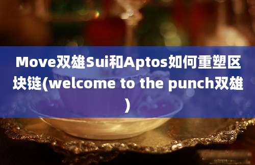 Move双雄Sui和Aptos如何重塑区块链(welcome to the punch双雄)