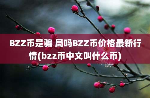 BZZ币是骗 局吗BZZ币价格最新行情(bzz币中文叫什么币)