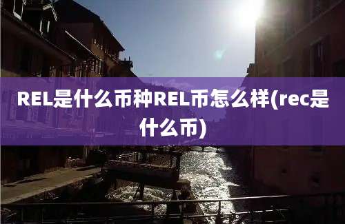 REL是什么币种REL币怎么样(rec是什么币)