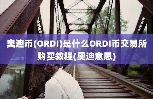 奥迪币(ORDI)是什么ORDI币交易所购买教程(奥迪意思)