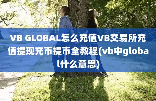 VB GLOBAL怎么充值VB交易所充值提现充币提币全教程(vb中global什么意思)