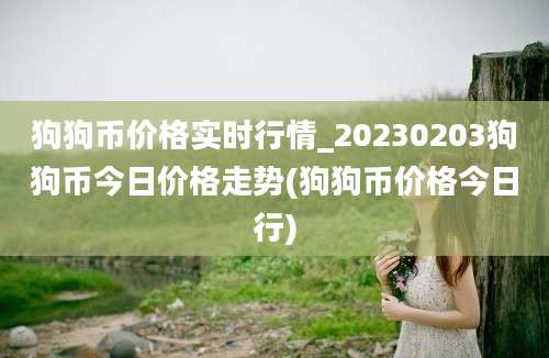 狗狗币价格实时行情_20230203狗狗币今日价格走势(狗狗币价格今日行)