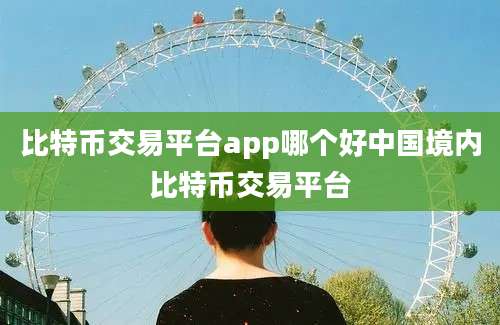 比特币交易平台app哪个好中国境内比特币交易平台