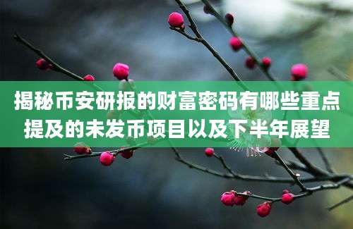 揭秘币安研报的财富密码有哪些重点提及的未发币项目以及下半年展望