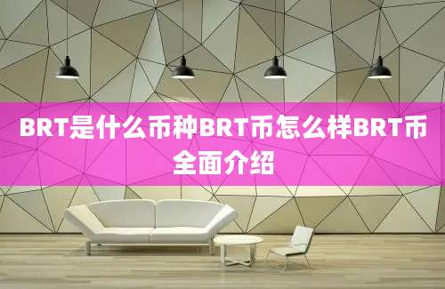 BRT是什么币种BRT币怎么样BRT币全面介绍