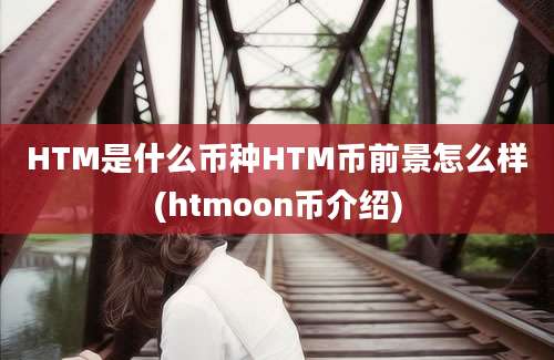 HTM是什么币种HTM币前景怎么样(htmoon币介绍)