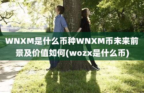 WNXM是什么币种WNXM币未来前景及价值如何(wozx是什么币)