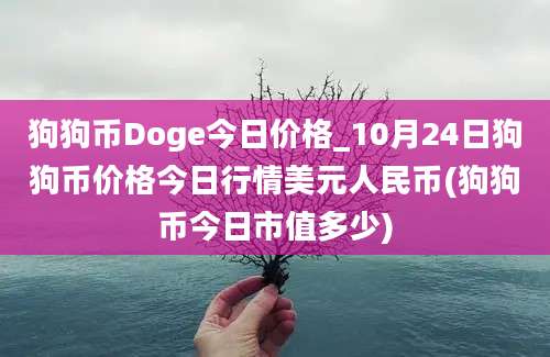 狗狗币Doge今日价格_10月24日狗狗币价格今日行情美元人民币(狗狗币今日市值多少)