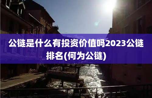 公链是什么有投资价值吗2023公链排名(何为公链)