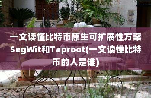 一文读懂比特币原生可扩展性方案SegWit和Taproot(一文读懂比特币的人是谁)