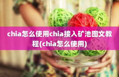 chia怎么使用chia接入矿池图文教程(chia怎么使用)