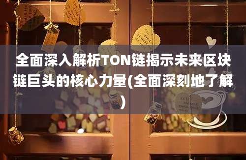 全面深入解析TON链揭示未来区块链巨头的核心力量(全面深刻地了解)