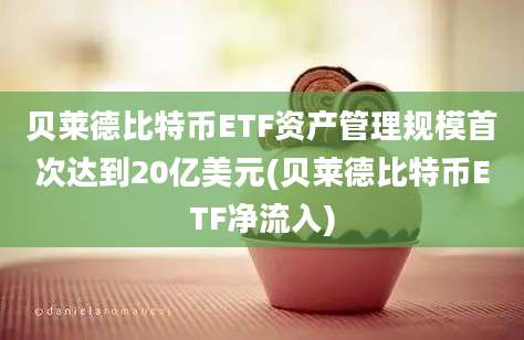 贝莱德比特币ETF资产管理规模首次达到20亿美元(贝莱德比特币ETF净流入)